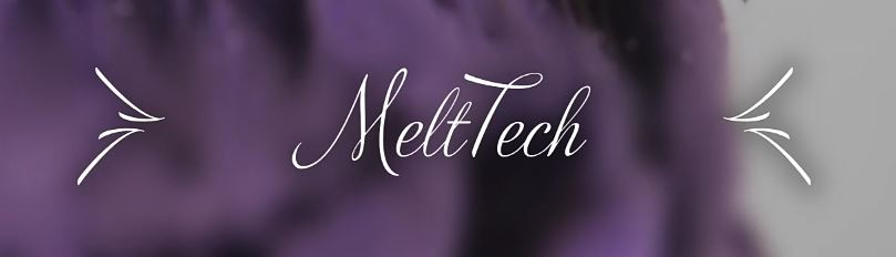 MeltTech Logo Banner